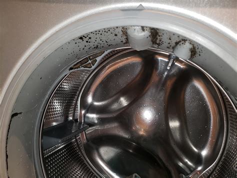 remove black mould from washing machine seal