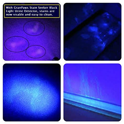 Remove Blacklight Stains