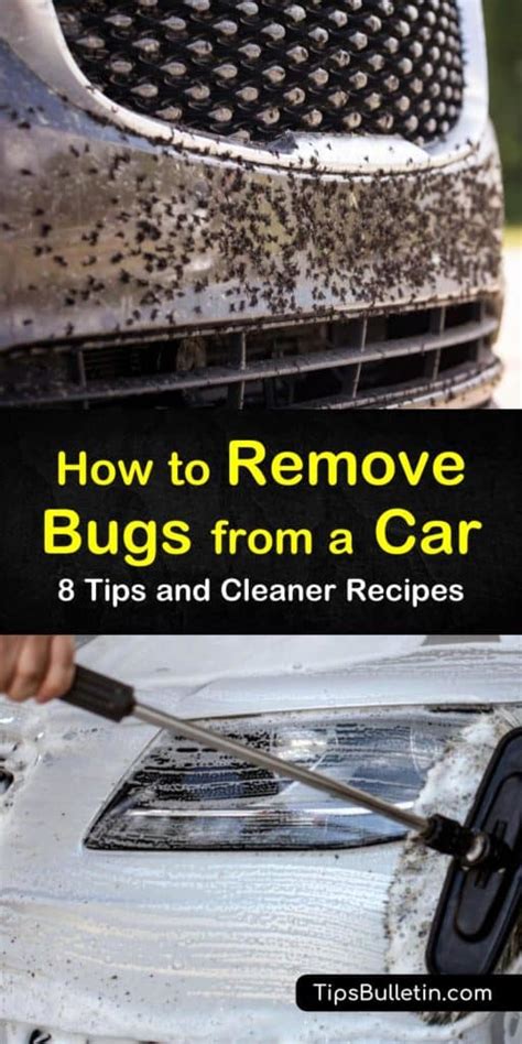 Remove Bugs From Car Hood