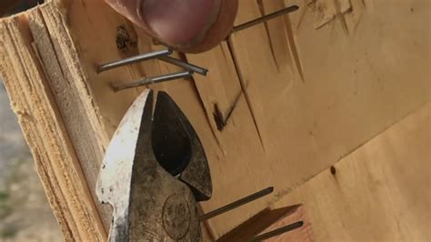 Remove Construction Staples