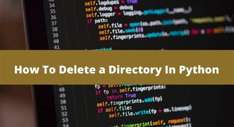 Remove In Python Directory