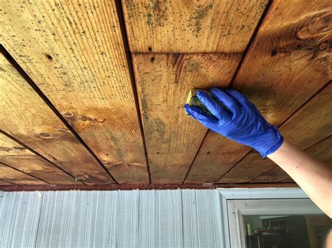 remove mildew from wood siding