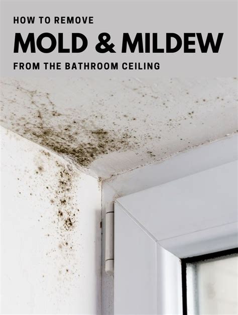 Remove Mildew In Bathroom Ceiling