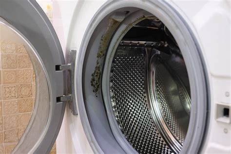 remove mold washing machine rubber seal