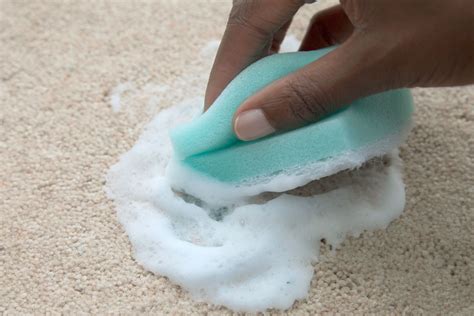 Remove Paint In Carpet