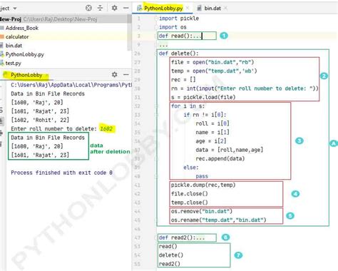 Remove Python Binary File