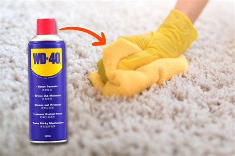 remove rust from carpet