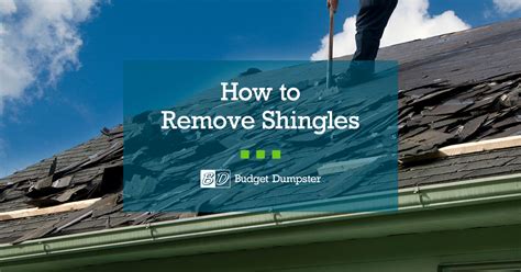 Remove Shingles From Body