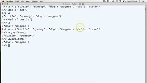 remove something from a dictionary python