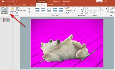 remove the background of a picture in powerpoint