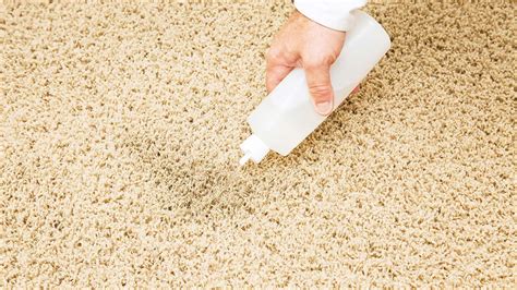 remove water from carpet