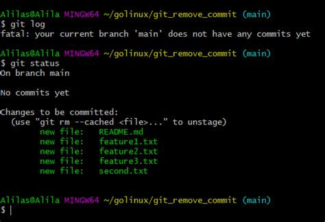 How to Remove Commit From a Branch in Git