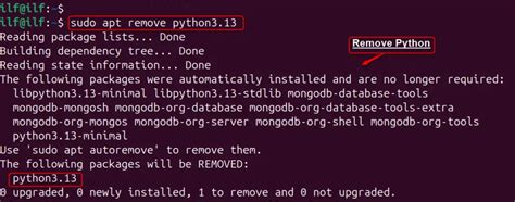 How to Install Python on Ubuntu? [Install Python 3 Ubuntu]