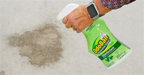 removing dried urine smell from carpet