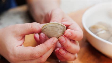 Removing Grit From Clams
