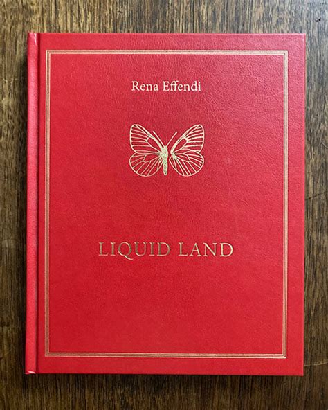 Rena Effendi Liquid Land