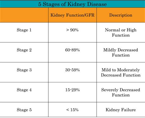 Understanding Renal Failure Stages: A Guide to Kidney Disease Progression and Management