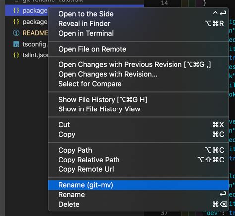 rename branch git visual studio code