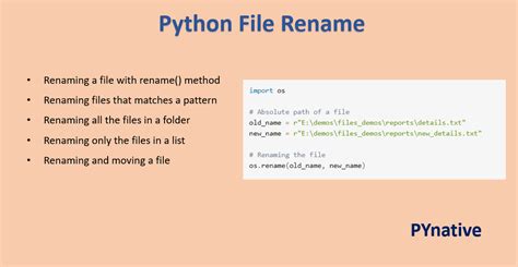 Rename File In Zip Folder Python