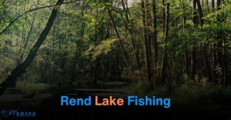 Rend Lake Size