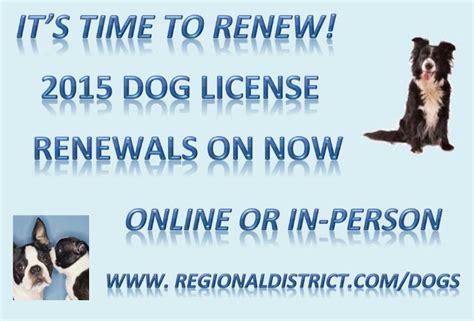 renew dog license ni