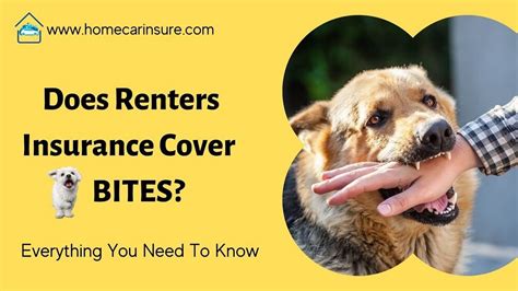 renters insurance cover dog bites