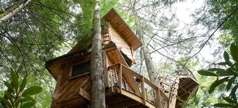 Renting A Treehouse