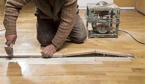 How To Fix Squeaky Floors And Repair Scratches JocoxLoneliness