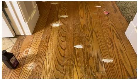 How To Repair Your Water Damaged Floor? Vinyl repair, Repair, Flooring