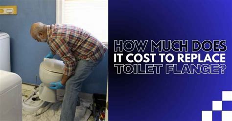 Replace Flange Toilet Cost