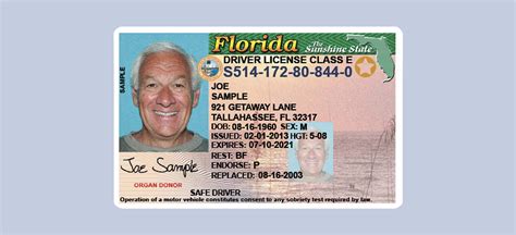 replace lost state id online