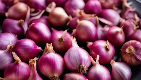 Replace Shallots With Red Onion