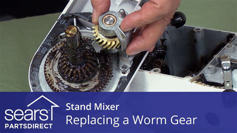 Replace Worm Gear Stand Mixer