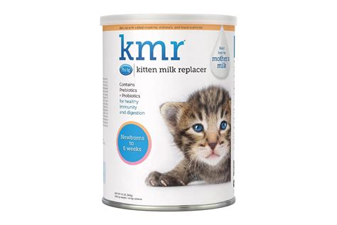 Replacement For Cat Milk