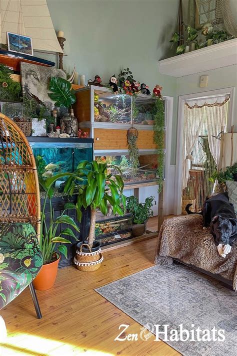 Sweet reptile room Reptile room, Animal room, Reptiles