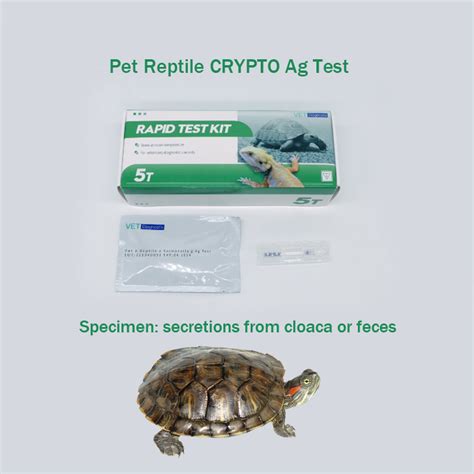 Reptile Crypto Test