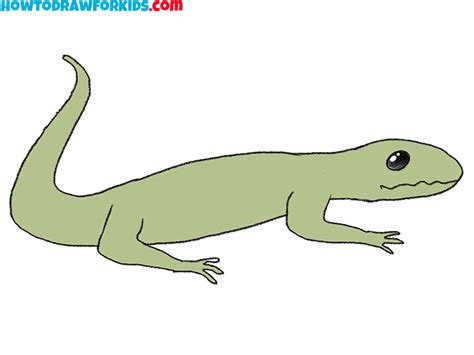 Reptile Drawing Easy
