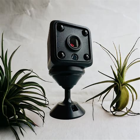 Reptile Tank Camera