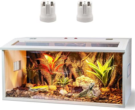 Reptile Terrarium With Built In Light