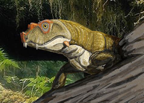Reptiles First Appeared During The Triassic Era