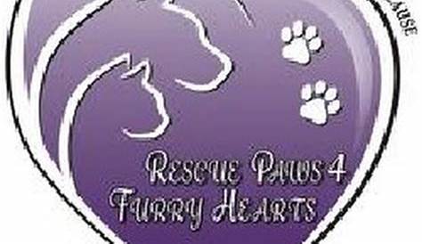 Rescue Paws 4 Furry Hearts - YouTube