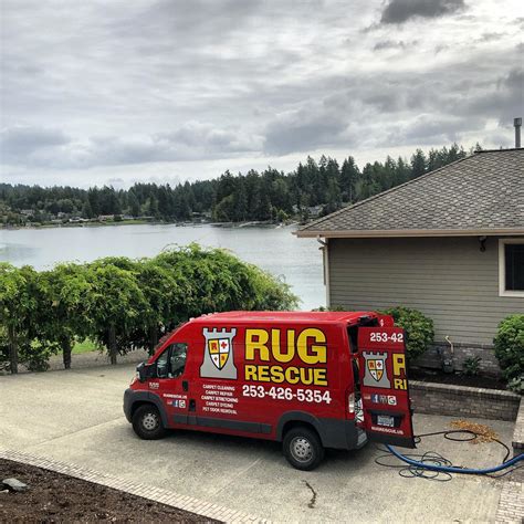 rescue carpet cleaning