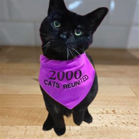 Rescue for Unique Pets