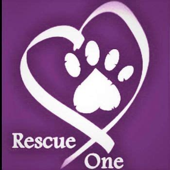 rescue one springfield mo facebook page