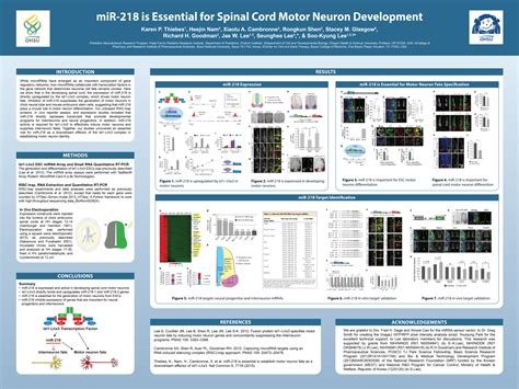 40 EyeCatching Research Poster Templates (+Scientific Posters) ᐅ