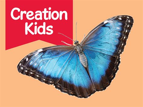 research the creation