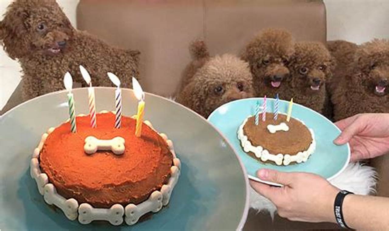 Resep Rahasia Kue Ulang Tahun Anjing yang Menggoda