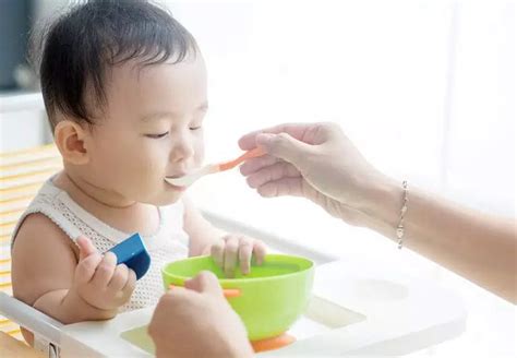 resep makanan bayi 6 bulan untuk kecerdasan otak