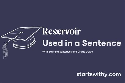 Reservoir Word Examples