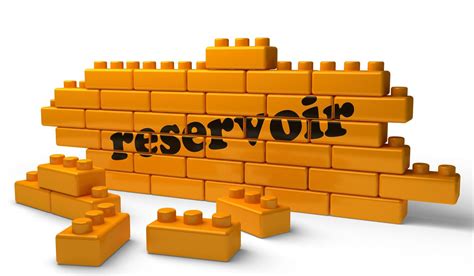 Reservoir Word Type